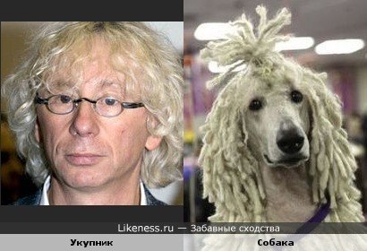  ...)))