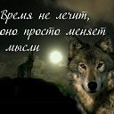 ���� Alekcandr, ������ - ��������� 1 �������� 2017 � ������ �������� ��������