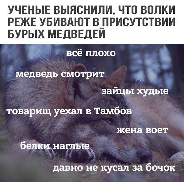    - 15  2017  20:45