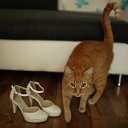 ���� ������, �������, 35 ��� - ��������� 7 ������ 2017