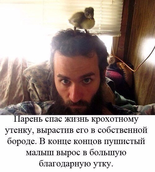     - 2