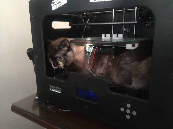 3D ,   