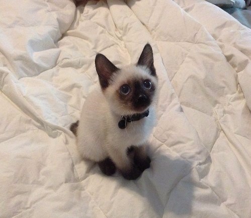 ������� �� ����� ���