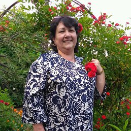 ���� �����, ����, 68 ��� - ��������� 30 ���� 2017