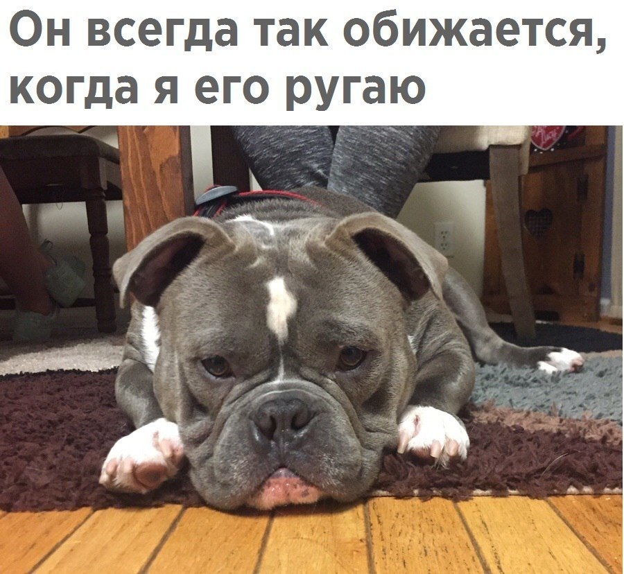 ������� - 15 ������� 2017 � 23:36