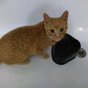 ��� ��������� �� ����: ������ ����� ���� ���� ����... �� ������� ���� ����������