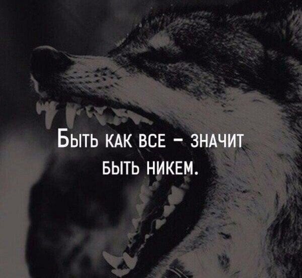    - 9  2017  03:47