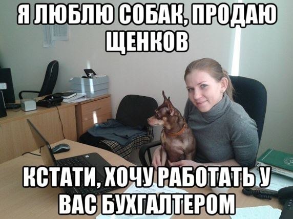 Как составить резюме и кому не нужно этого делать.В интернете полно «обучалок», как составить ...