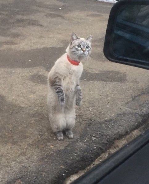 - ��������, �� ���� �� ���� �� ����������?�.- �� ������?�- �� ������...