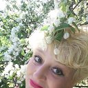 ���� �����, �����-���������, 58 ��� - ��������� 6 ���� 2017 � ������ �1 ��� 2017�