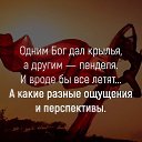 ���� I, ������, 52 ���� - ��������� 20 �������� 2017 � ������ ������ ��������