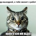 ���� ������ �������, �����, 66 ��� - ��������� 13 ������� 2017 � ������ ������ ��������
