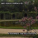 ���� 15 ����, ������� - ��������� 30 ������ 2017 � ������ ������ ��������