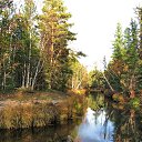 ���� ��������, ���������, 65 ��� - ��������� 28 ������� 2017