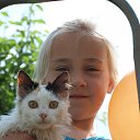 ��� ������� �� ������� ���� ����������