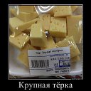 ���� ������, �����-���������, 50 ��� - ��������� 17 ���� 2017 � ������ ������ ��������