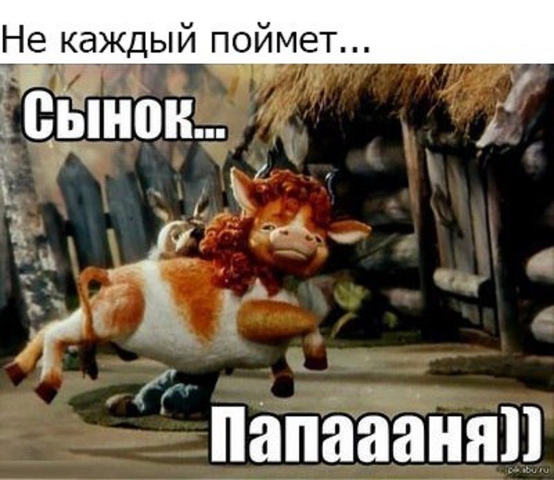 ������� - 19 ������� 2017 � 06:02