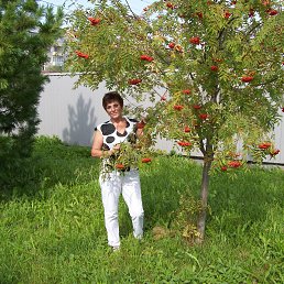 ���� �����, �������� - ��������� 26 ������� 2017