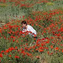 ���� �����, ������� �������� - ��������� 17 ��� 2017 � ������ ���� ����������