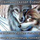 ���� ������, ����, 46 ��� - ��������� 29 ���� 2017 � ������ ��������