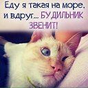 ���� ���, �����, 60 ��� - ��������� 28 ���� 2017 � ������ ������ ��������