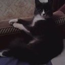 ���� ����, ����������, 105 ��� - ��������� 22 ������� 2017 � ������ ���� ����������