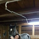 ���� ���� ����, ������, 45 ��� - ��������� 14 ������� 2017 � ������ ���� ����������