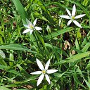  , , 60  -  23  2017    - 2017