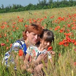 ���� �������, ������, 61 ��� - ��������� 24 ��� 2017