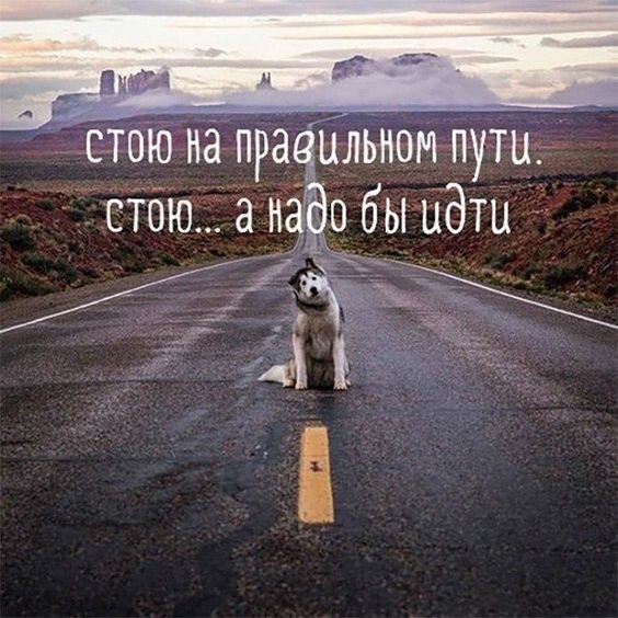  - 12  2017  03:29