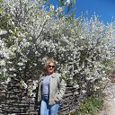 ���� �����, ������ - ��������� 10 ��� 2017