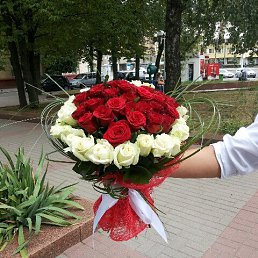 ���� �������, ���������, 71 ��� - ��������� 4 ������ 2017