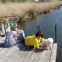 ���� ����, ������-��-����, 52 ���� - ��������� 10 ��� 2017 � ������ ���� ����������