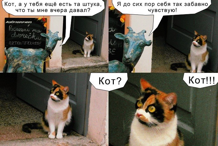 ������ - 28 ������� 2017 � 03:32