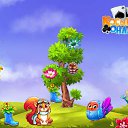 ���� Vik, ���� - ��������� 11 ������ 2017 � ������ �������� �������-�������