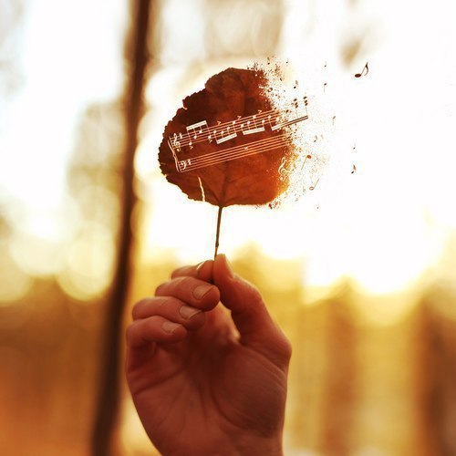 Настроение-осень... - 3