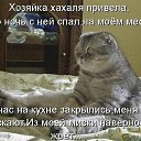 ���� Oleg, ������������ - ��������� 27 ������� 2017 � ������ ������ ��������