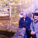 ���� ������, ������, 60 ��� - ��������� 1 �������� 2017 � ������ ���� ����������