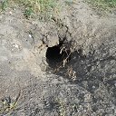 ���� ����, �������������� - ��������� 14 ������� 2017 � ������ ���������(����������� �������)�