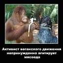���� �������, ���������, 50 ��� - ��������� 28 ������� 2017 � ������ ���� ����������