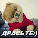 ���� ������, �������, 54 ���� - ��������� 27 �������� 2017