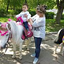 ���� �����, �����-���������, 62 ���� - ��������� 10 ���� 2017 � ������ ���� �����)�