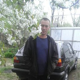 ���� ������, ����������, 43 ���� - ��������� 19 ������ 2017