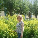 ���� �������, ������������, 51 ��� - ��������� 20 ���� 2017 � ������ ����� 2017�