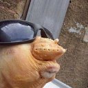 ���� ����, ������, 47 ��� - ��������� 11 ������� 2017 � ������ ���� ����������