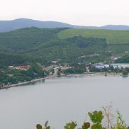 , 61 , 
