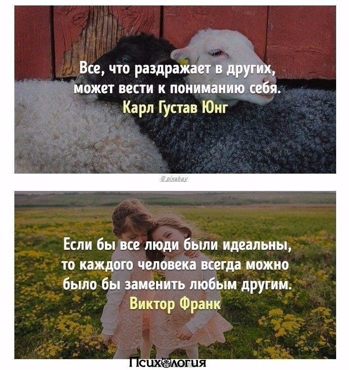      20- .      .