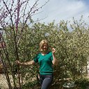 ���� �������, ���������, 54 ���� - ��������� 1 ��� 2017 � ������ ���� ����������