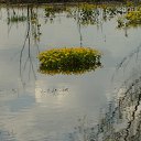  , , 36  -  3  2017    ( 2017)