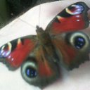 ���� ������, �����, 58 ��� - ��������� 17 ������� 2017 � ������ ���� ����������